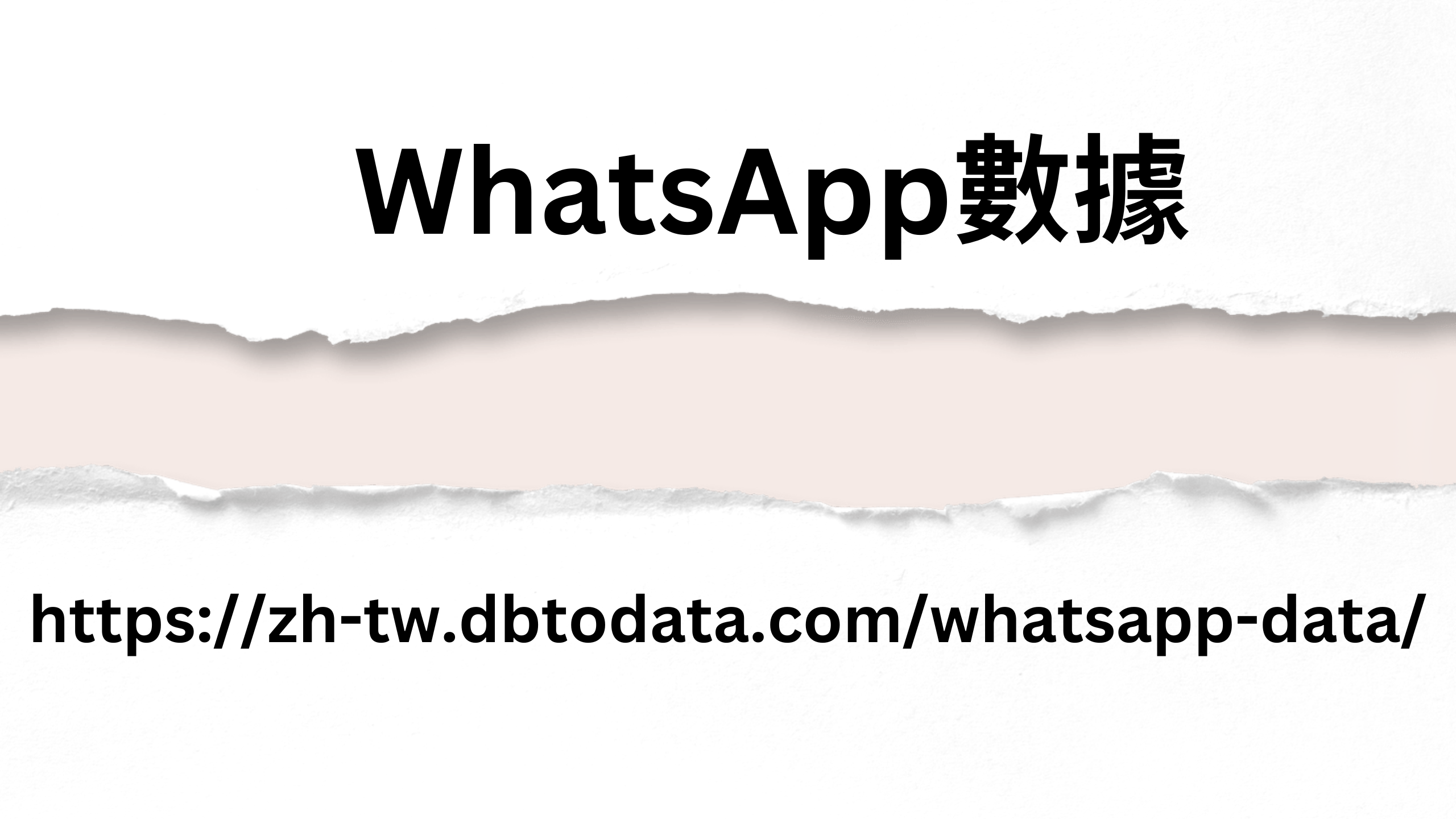 WhatsApp數據